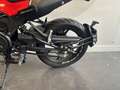 Benelli Leoncino - thumbnail 10