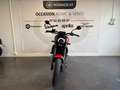 Benelli Leoncino - thumbnail 3