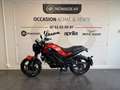 Benelli Leoncino - thumbnail 4