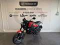 Benelli Leoncino - thumbnail 5