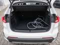 BMW X1 xDrive25e ACC+HUD+360°KAM+SHZG+LED Weiß - thumbnail 21