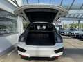 BMW iX xDrive40 Sport AHK/SkyL. GARANTIE bis 04/2029 Bianco - thumbnail 5