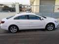 Volkswagen CC CC 2.0 tdi bm 140cv Bianco - thumbnail 3