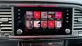 SEAT Ateca Ateca 1.6 tdi Xcellence dsg Bianco - thumbnail 9