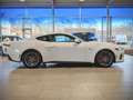 Ford Mustang MUSTANG GT MAGNERIDE >>13.000 EUR RABATT<< Weiß - thumbnail 3