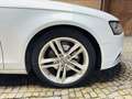 Audi A4 Avant 2.0 tdi Advanced 143cv multitronic - thumbnail 5
