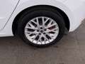 SEAT Ibiza 1.5 TSI FR Aut LED RADAR NAVI SITZHZG R-CAM Weiß - thumbnail 25