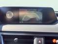 Lexus UX 250h 2.0 Business Blanco - thumbnail 17