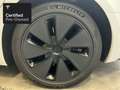 Tesla Model 3 Rear-Wheel Drive “Certified Pre-Owned” Wit - thumbnail 5