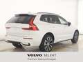 Volvo XC60 Plus Dark B4 EU6d Navi SHZ Harman Kardon digitales Weiß - thumbnail 3