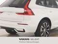 Volvo XC60 Plus Dark B4 EU6d Navi SHZ Harman Kardon digitales Weiß - thumbnail 4