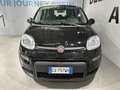 Fiat Panda 3ª serie 1.0 FireFly S&S Hybrid Nero - thumbnail 3