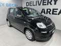 Fiat Panda 3ª serie 1.0 FireFly S&S Hybrid Nero - thumbnail 2