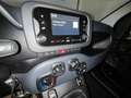 Fiat Panda 3ª serie 1.0 FireFly S&S Hybrid Nero - thumbnail 14