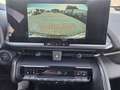 Toyota C-HR 1.8 Hybrid Teamplayer, Technik-Paket Zilver - thumbnail 9
