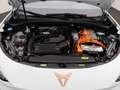 CUPRA Terramar VZ 1.5 e-Hybrid DSG/ Matrix, 360°Kamera Weiß - thumbnail 7