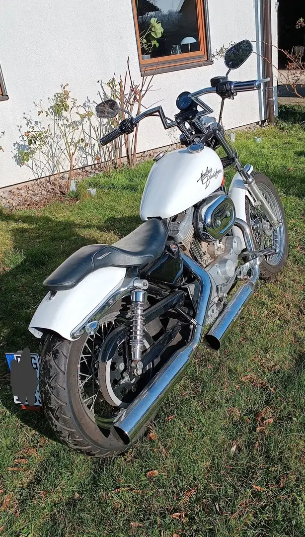 Harley-Davidson Sportster 883 Bianco - 1