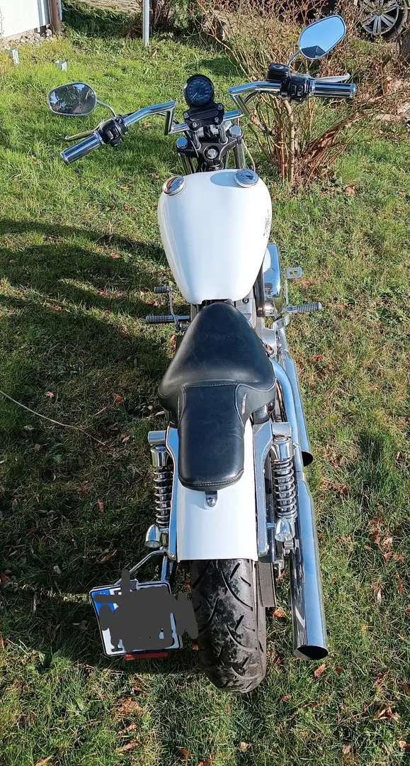 Harley-Davidson Sportster 883 Bianco - 2