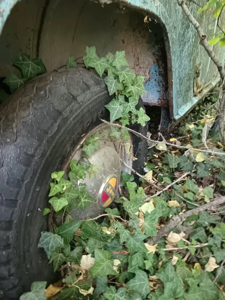 Jeep Comanche Viasa, foto 6