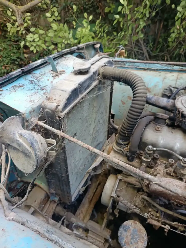 Jeep Comanche Viasa, foto 3
