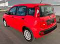 Fiat Panda 1,2 70 Easy ID:93 Rouge - thumbnail 5