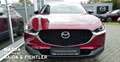 Mazda CX-30 2.5L e-SKYACTIV G 140 Homura Rojo - thumbnail 7