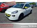 Opel Adam 1.4 Jam Winter-Paket Klima GRA HU 09/2026 Weiß - thumbnail 1
