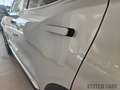 Tiger Sonstige Eight 1.5T DI GPL 7DCT - Pronta Consegna Silber - thumbnail 12