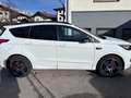 Ford Kuga ST-Line Weiß - thumbnail 5
