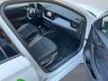 Skoda Scala Drive 1.0 TSI DynLi MATRIX SpurH LM Weiß - thumbnail 10