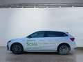 Skoda Scala Drive 1.0 TSI DynLi MATRIX SpurH LM Weiß - thumbnail 3