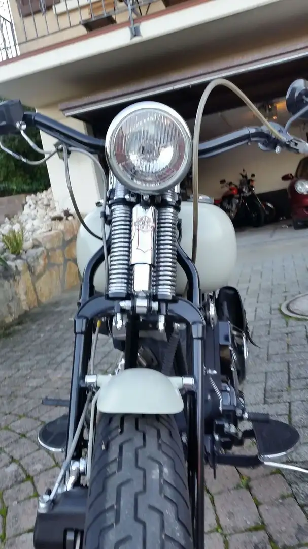 Harley-Davidson Softail Grijs - 2