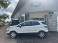 Ford EcoSport Cool & Connect 100PS *LED*AC*GRA*AppL.* Blanco - thumbnail 4