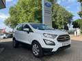 Ford EcoSport Cool & Connect 100PS *LED*AC*GRA*AppL.* Blanco - thumbnail 3