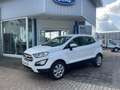 Ford EcoSport Cool & Connect 100PS *LED*AC*GRA*AppL.* Blanco - thumbnail 1