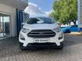 Ford EcoSport Cool & Connect 100PS *LED*AC*GRA*AppL.* Blanco - thumbnail 2