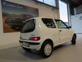 Fiat Seicento 1.1 Comfort (sx) Bianco - thumbnail 4