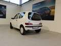 Fiat Seicento 1.1 Comfort (sx) Bianco - thumbnail 6