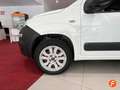 Fiat Panda 1.3 75cv Diésel 4x4 E5+ Blanco - thumbnail 11