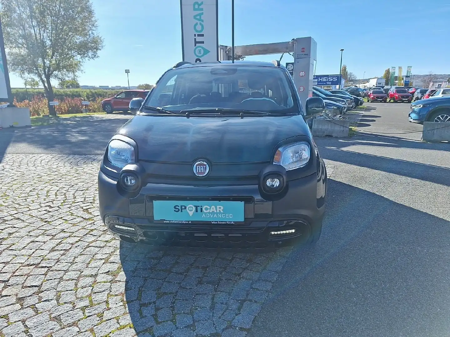 Fiat Panda 4x2 FireFly Hybrid 70 Pandina Grün - 2