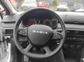 Dacia Sandero TCe 90 Tempomat*Bluetooth*DAB Weiß - thumbnail 10