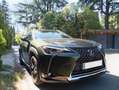 Lexus UX 250h UX 250h Business 2WD Verde - thumbnail 1
