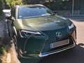 Lexus UX 250h UX 250h Business 2WD Verde - thumbnail 16