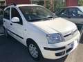 Fiat Panda 1.2 70 cv Benzina/Gpl Dynamic Blanc - thumbnail 18