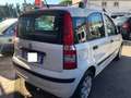 Fiat Panda 1.2 70 cv Benzina/Gpl Dynamic Blanc - thumbnail 16