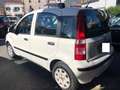 Fiat Panda 1.2 70 cv Benzina/Gpl Dynamic Blanc - thumbnail 13
