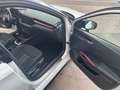 Skoda Fabia Fabia 1.0 TSI Monte Carlo - Magnifique! Garantie - thumbnail 18