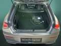 Mercedes-Benz CLA 250 CLA 250 e SB AMG+NIGHT+DISTRO+KAMERA+SOUND+MLED Grau - thumbnail 14