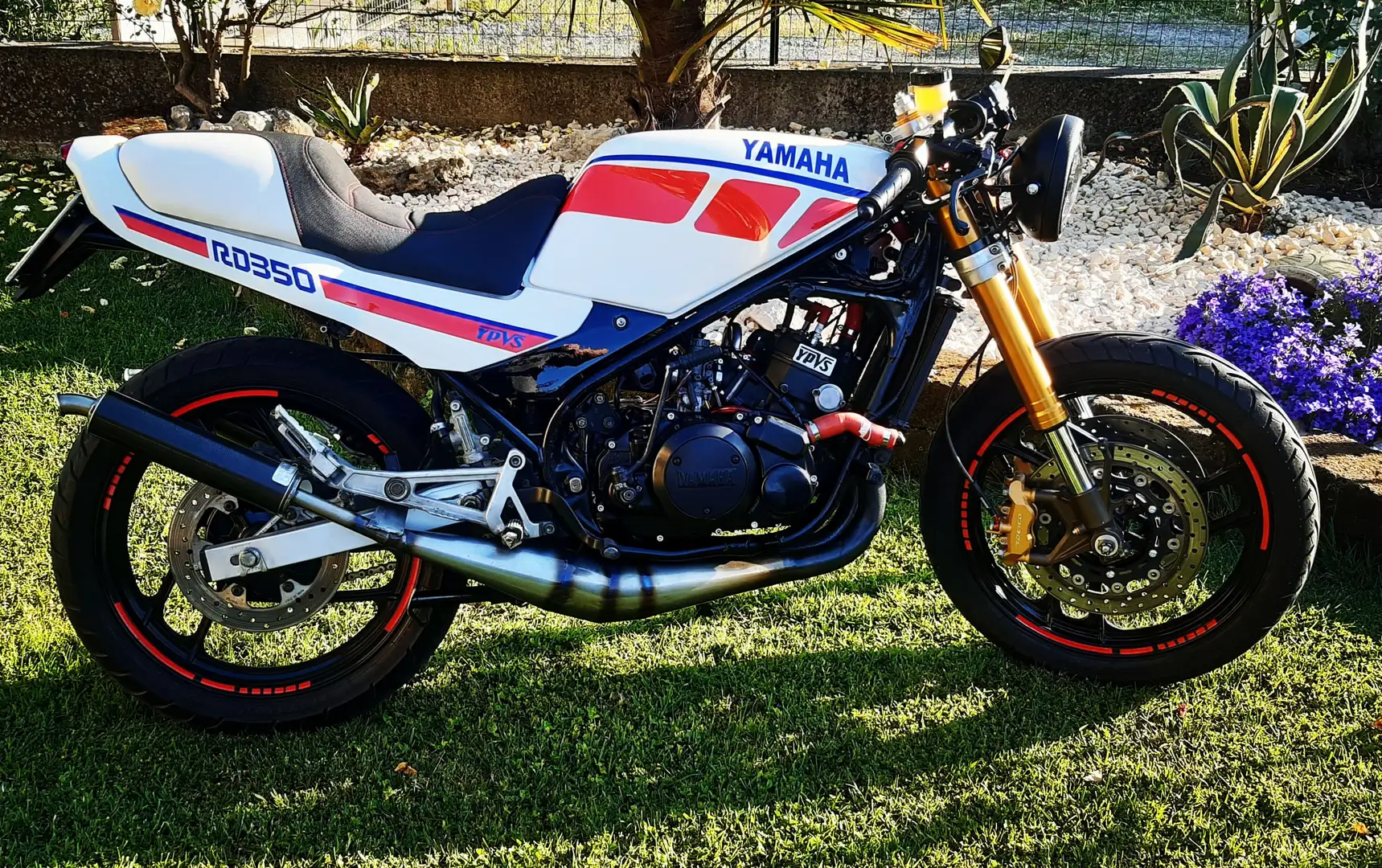 Yamaha RD 350 Cafe racer Rot - 2