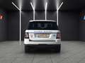 Land Rover Range Rover Sport HSE 3,0L SDV 6 Weiß - thumbnail 5